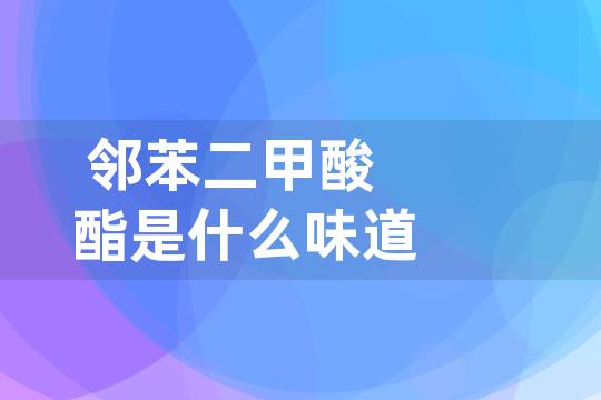 邻苯二甲酸酯是什么味道