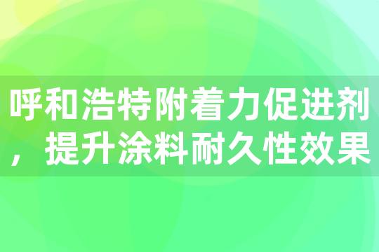 呼和浩特附着力促进剂，提升涂料耐久性效果