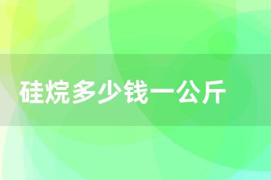 硅烷多少钱一公斤