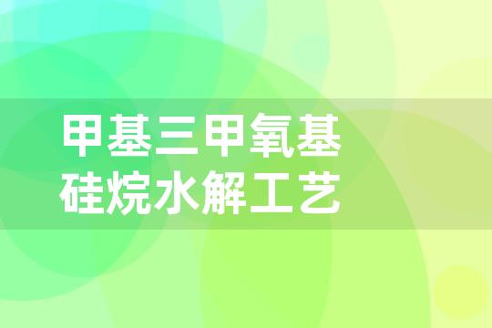 甲基三甲氧基硅烷水解工艺