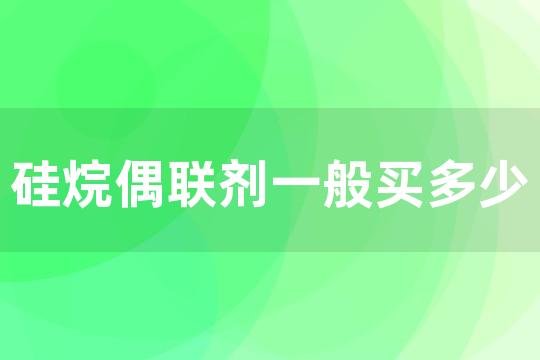 硅烷偶联剂一般买多少